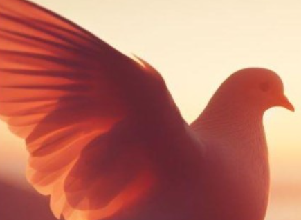 Youth of Pakistan your time is now!