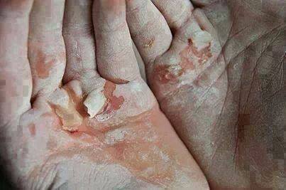 معاش کی تلاش اور بدمعاش