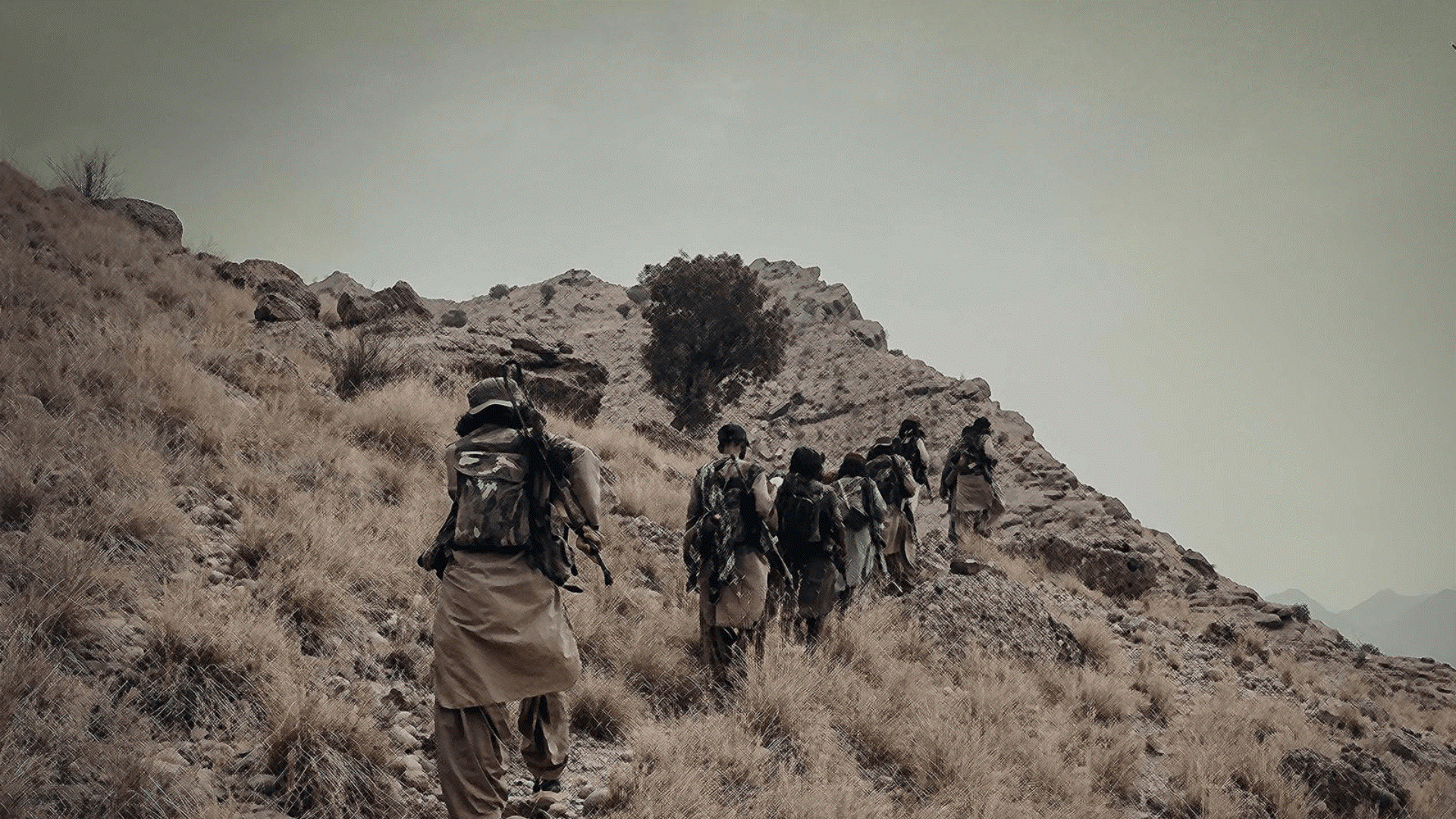 “The Manipulative Tactics of BMOs: Exploiting the Youth for a Lost Cause”